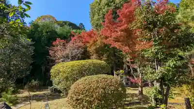 法寳閣檀林寺(京都府)