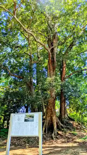 七百餘所神社 の周辺