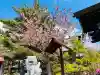 北見神社の{uncategorized: "未分類", other: "その他", undefined: "問題あり", building: "その他建物", grave: "お墓", sacred_gate: "鳥居", guardian: "狛犬", statue: "像", buddha: "仏像", history: "歴史", nature: "自然", garden: "庭園", animal: "動物", pagoda: "塔", temizu: "手水舎", mountain_gate: "山門・神門", sanctuary: "本殿・本堂", subordinate: "末社・摂社", art: "芸術", scenery: "景色", jizo: "地蔵", ema: "絵馬", goshuin: "御朱印", omikuji: "おみくじ", items: "授与品その他", amulet: "お守り", goshuincho: "御朱印帳", eats: "食事", festival: "お祭り", votive_dance: "神楽", shichigosan: "七五三参", wedding: "結婚式", experience: "体験その他", initially: "初詣", around: "周辺", anti_infection: "感染症対策"}
