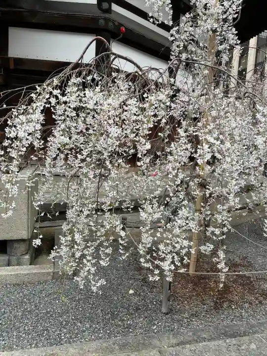 頂法寺(六角堂)(京都府)