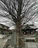 滝野川八幡神社(東京都)