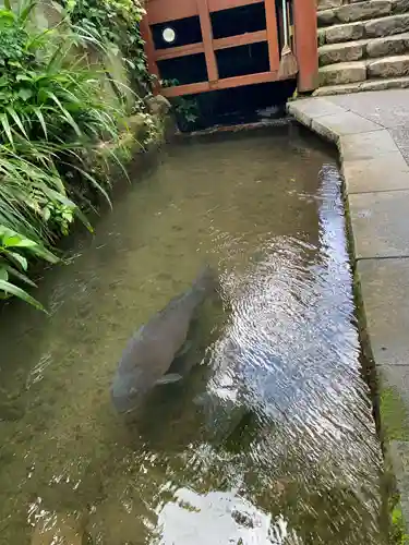 左京稲荷神社(岐阜県)