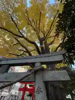 千種稲荷神社(東京都)