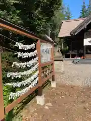 大正神社のおみくじ