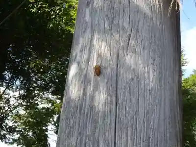 出雲大社相模分祠のその他建物