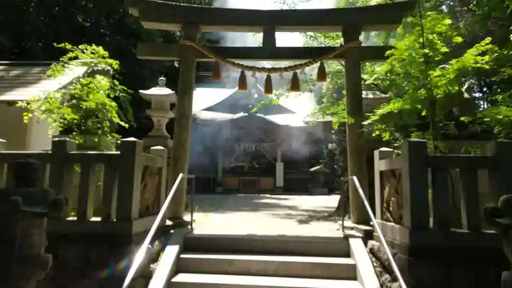 泉神社の鳥居