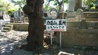 池上本門寺のその他建物