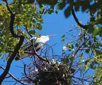 三津厳島神社(愛媛県)