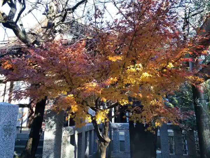 太田神社・高木神社(東京都)