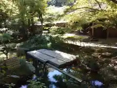 明月院(神奈川県)