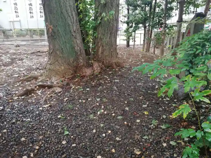 池袋御嶽神社の自然