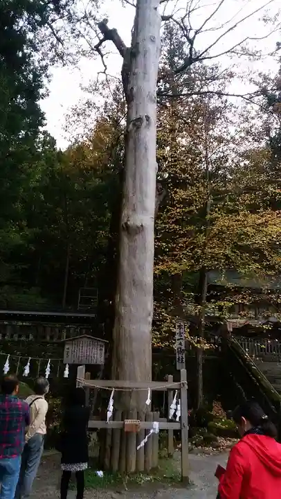 諏訪大社の自然