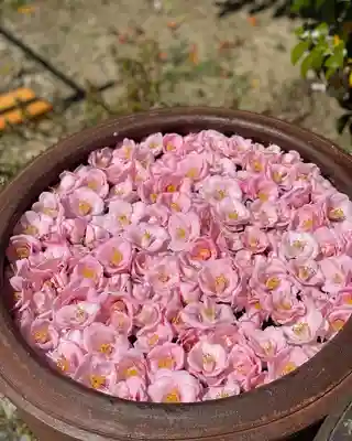 霊鑑寺門跡の手水舎