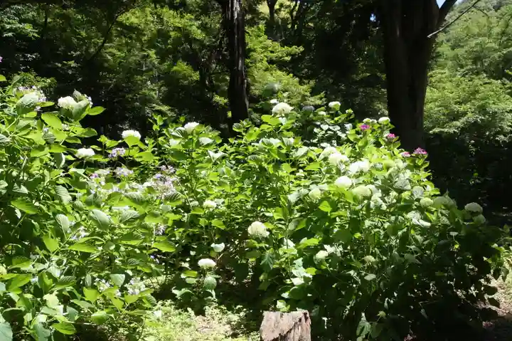 井伊神社(滋賀県)