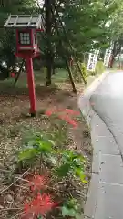 常陸第三宮　吉田神社(茨城県)