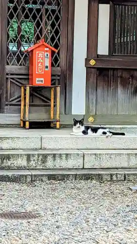 白金氷川神社の動物