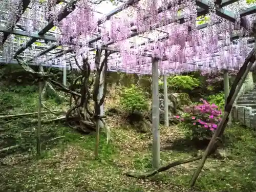 阿智神社(岡山県)