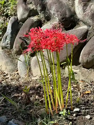 延命寺(東京都)