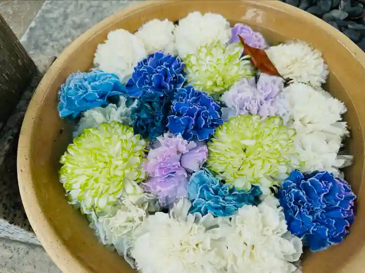 彌都加伎神社の手水舎