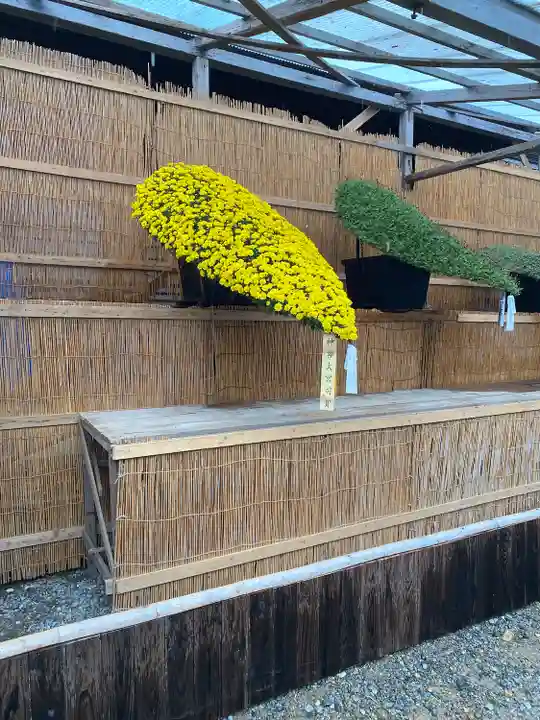 彌彦神社(新潟県)