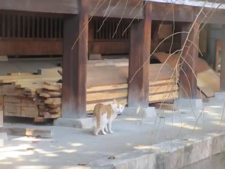 鬼子母神堂 (法明寺)(東京都)