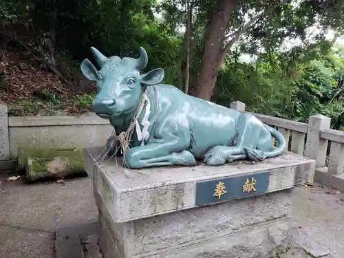 春日神社の狛犬