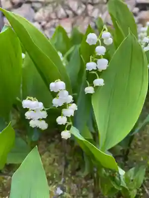 永澤寺(兵庫県)