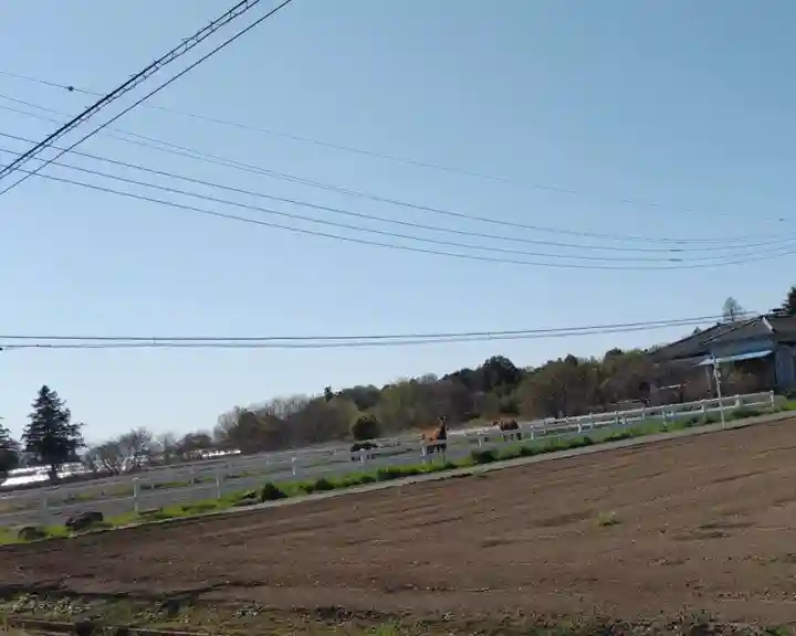 お堂(境町若林)の周辺