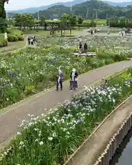 賀茂神社の周辺