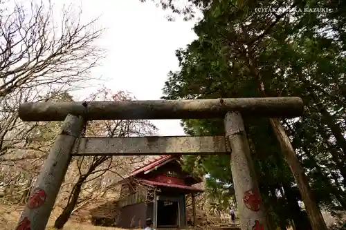 大山阿夫利神社本社の鳥居