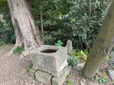 神魂伊能知奴志神社(島根県)
