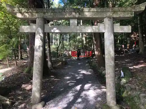 出雲大神宮の鳥居