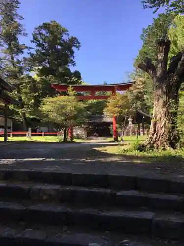 賀茂神社の鳥居