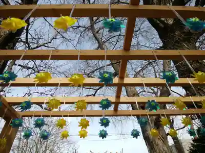 札幌諏訪神社の体験その他