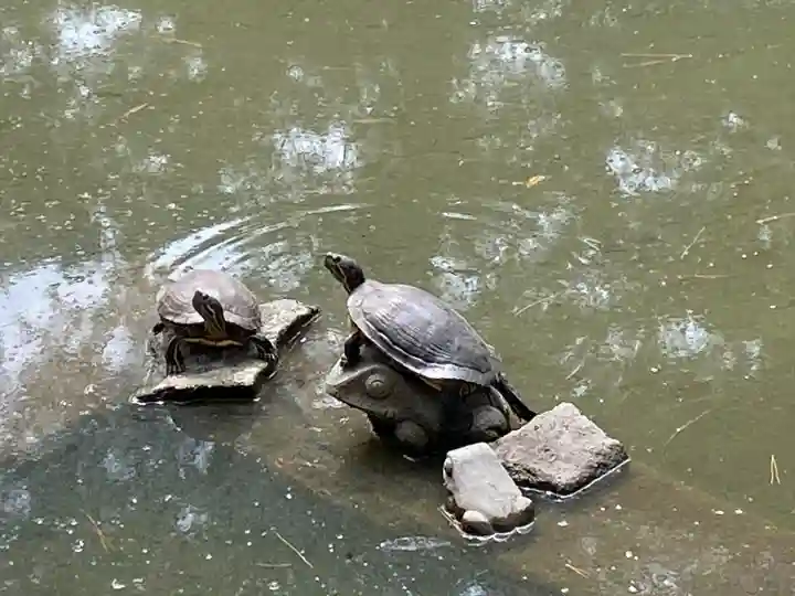 讃岐國分寺(香川県)