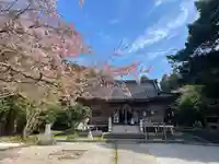 岩屋神社(福岡県)