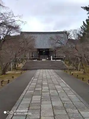 仁和寺の本殿・本堂