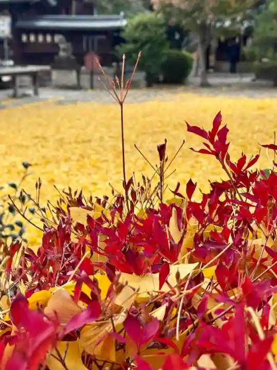 和田神社(滋賀県)