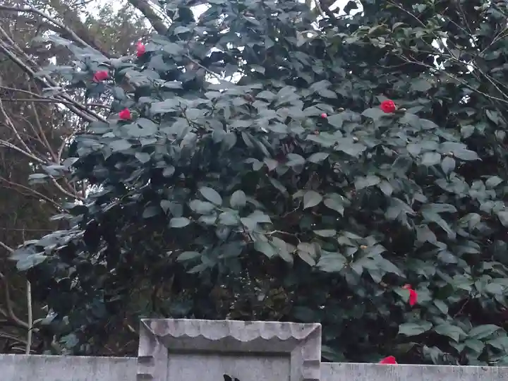 速谷神社(広島県)