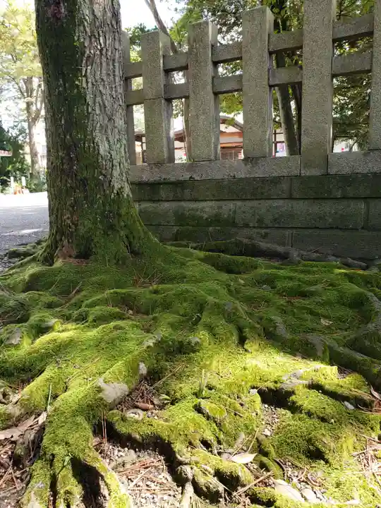 菟橋神社の自然