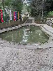 大縣神社の庭園