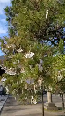 智恩寺(京都府)