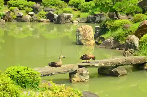  智積院(京都府)
