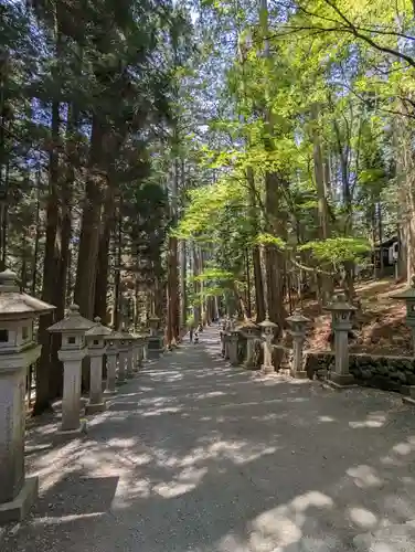 三峯神社(埼玉県)