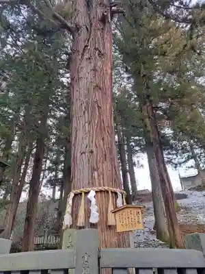 諏訪大社下社春宮(長野県)