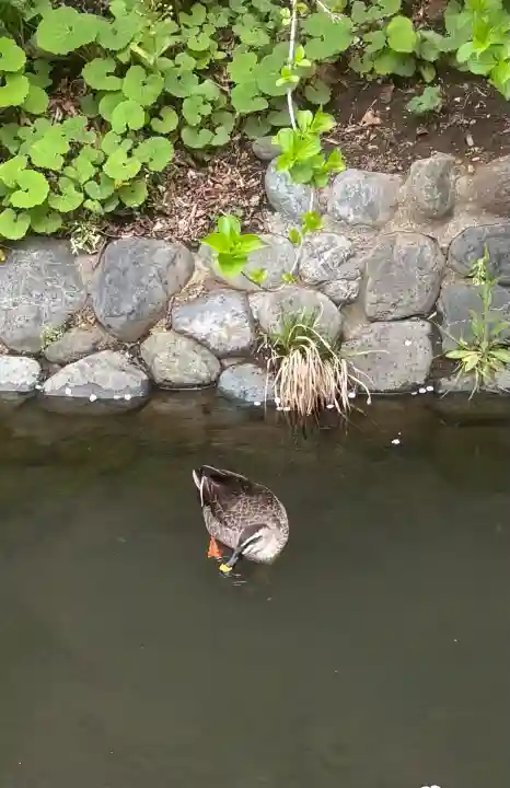 東光院(東京都)