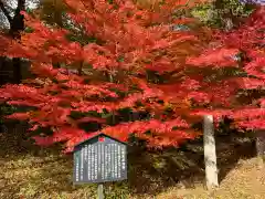 鶏足寺(滋賀県)