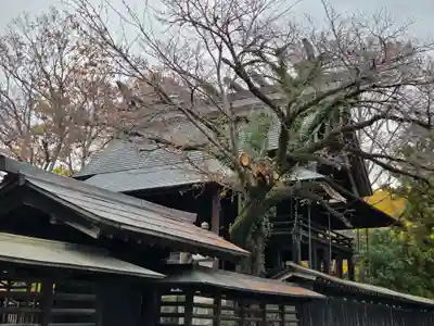 神明宮(栃木県)