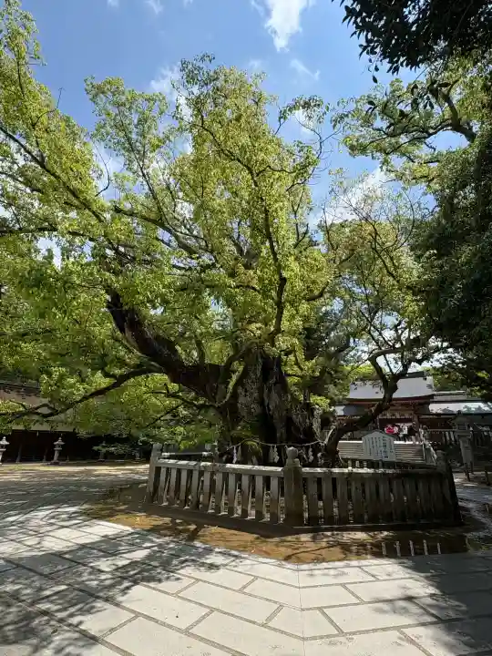 大山祇神社(愛媛県)