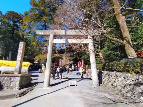 椿大神社の鳥居